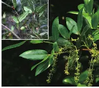 金年会APP-睐睇眚睐睇眚傻遭眦璨iuytuy